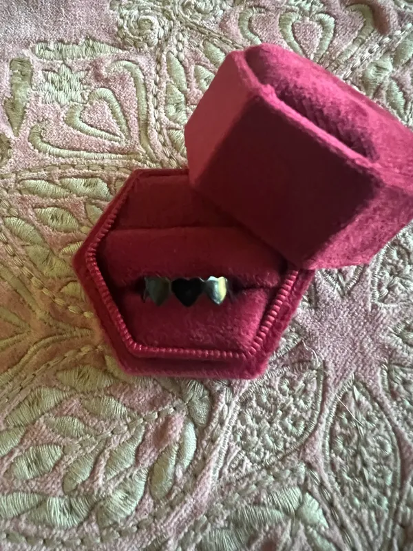 & Other Stories Women’s Stainless Steel Black Polished Finish Adjustable Ring Size 6-9 - Image 2
