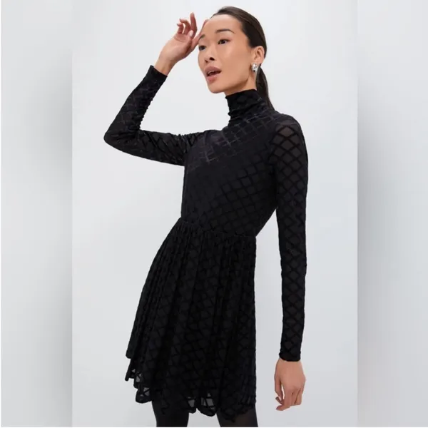 Tuckernuck Rowan Burnout Velvet Mock Neck Mini Dress Size Small New - Image 2