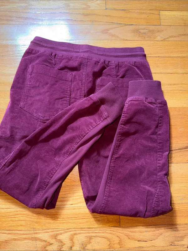 Anthropologie Burgundy Drawstring Jogger Pants - Image 8