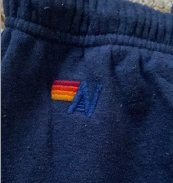 Aviator Nation Sweatpants - Image 4