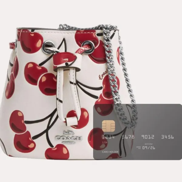 Coach Drawstring Wristlet With Cherry Print - Novelty Leather/Silver/Chalk Multi - Image 11