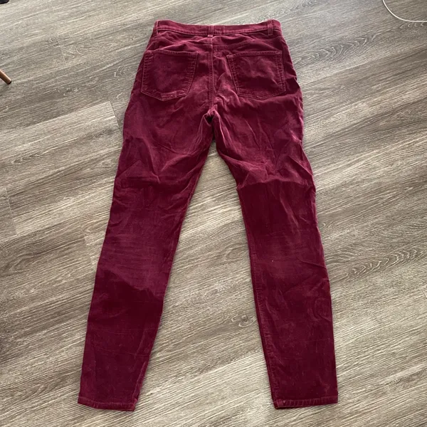Reformation Rebecca pants fitted slim skinny leg velvet velour red burgundy 28 - Image 11