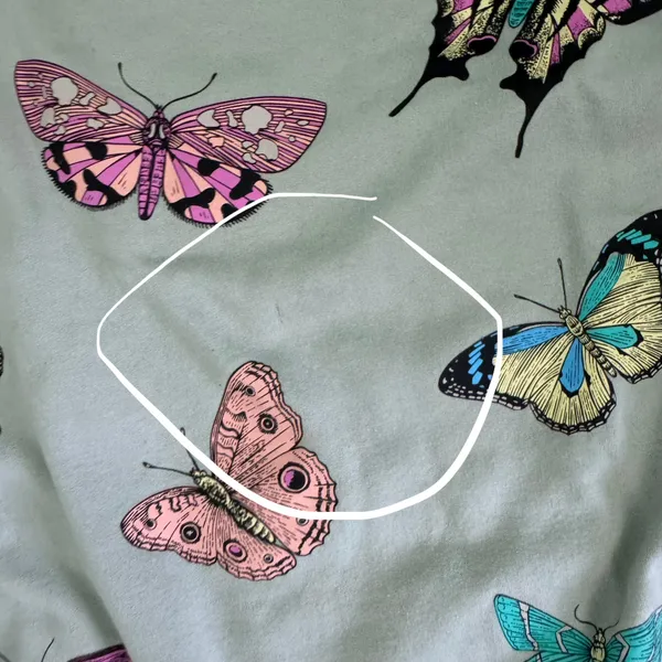 Special Thanks Butterfly Graphic Sweatshirt - Image 9