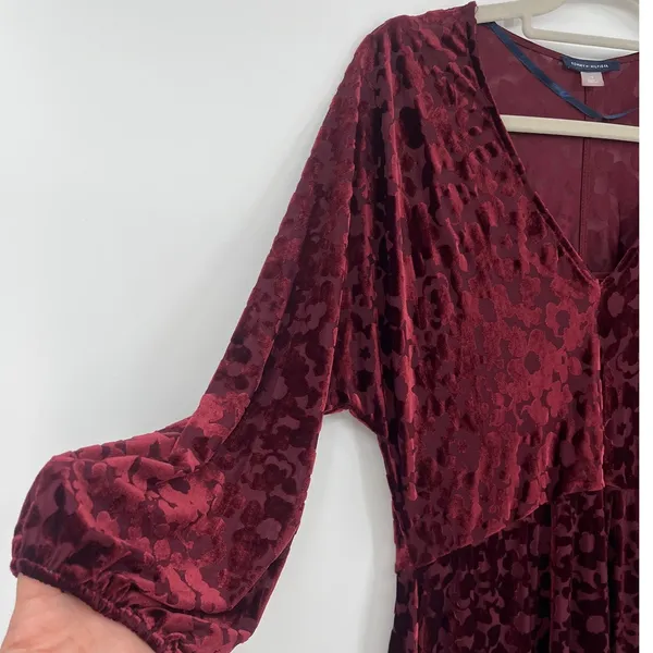 Tommy Hilfiger Burnout Velvet Dress Sz 6 Whimsigoth Burgundy Sheer Romantic Goth - Image 5