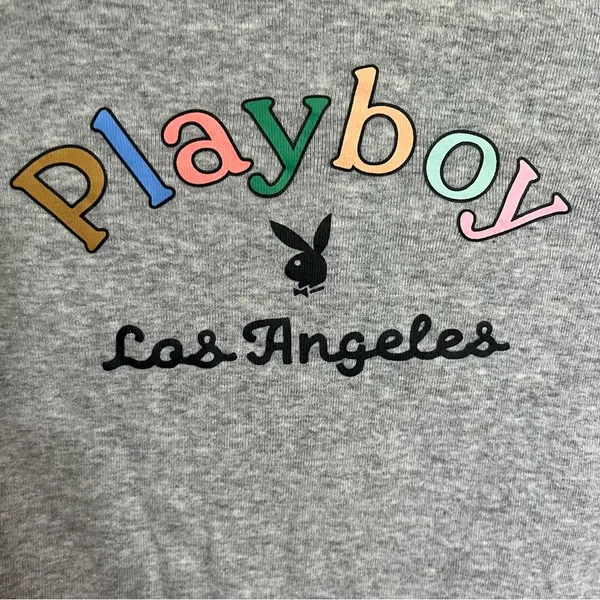 Playboy by PacSun Women's Medium Gray‎ Crop Top Long Sleeve Lettuce Hem - Image 2