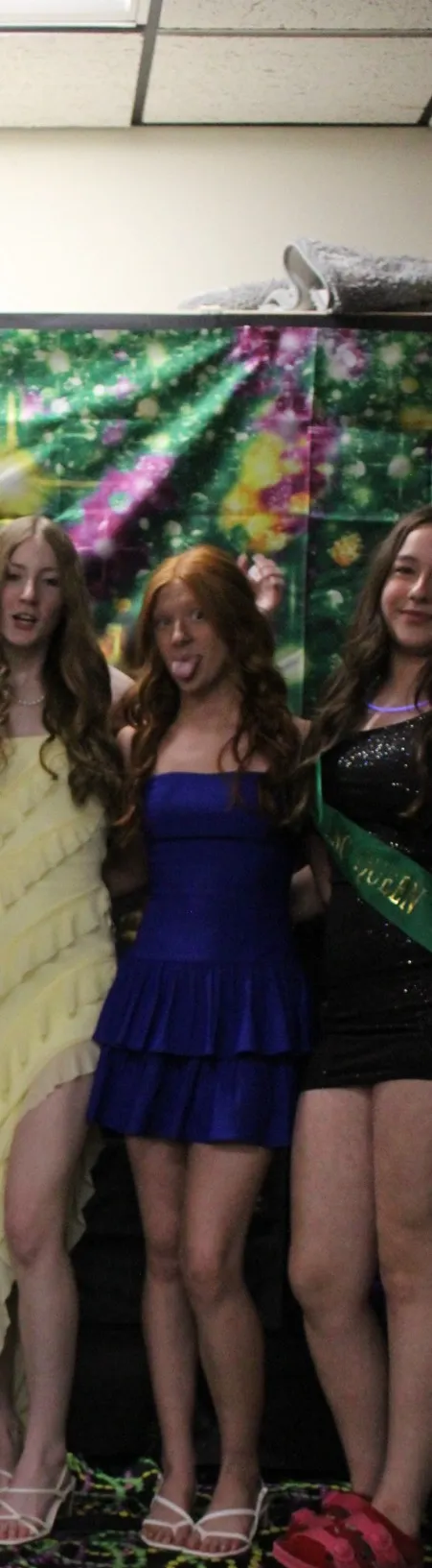 Windsor blue hoco/prom dress - Image 2