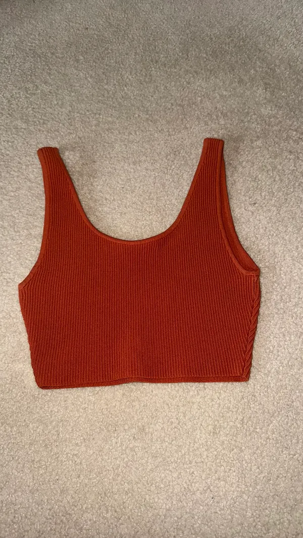 Babaton Aritzia Crop Top - Image 2