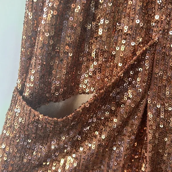 Free People Morelia Sequin Joggers in Copper Festival Western Boho Medium - Image 4