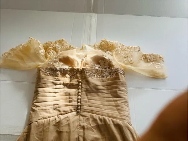 Elegant Lace Bodice Chiffon Evening Dress - Beige - Image 11