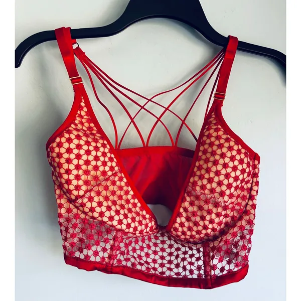Victoria's Secret Bra Lingerie Sling Underwire Red 34DDD Valentine’s Holiday - Image 4