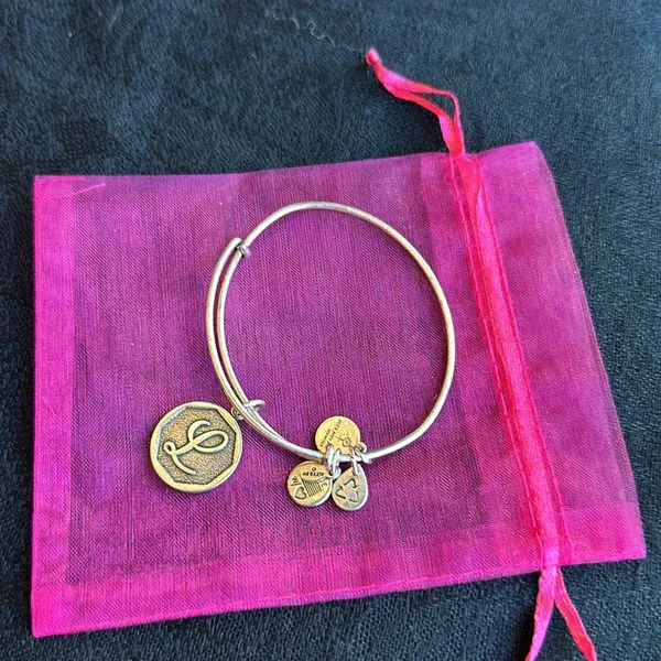 Alex and Ani Silver L Charm bracelet - Image 6