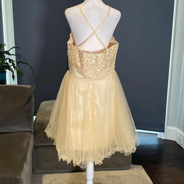 Women’s Sleeveless Short Prom Party Dress Size 14 NWT *READ DESCRIPTION - Image 4