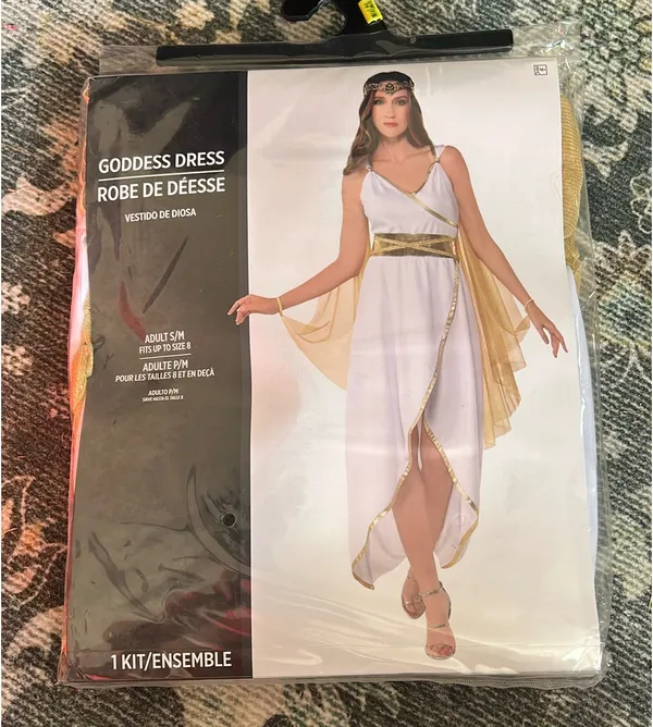 Party City Goddess Halloween Costume - Image 2