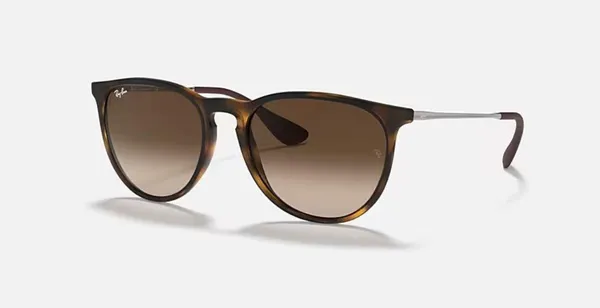 Ray-Ban Erika Classic Sunglasses - Image 2