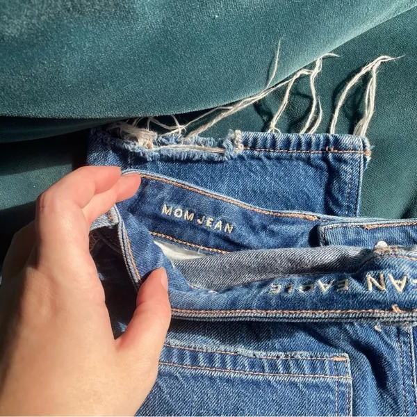 American Eagle Distressed Mom Jean - Image 5