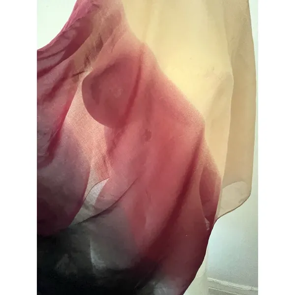 Charming Charlie Ombré Dyed Rectangular Scarf Burgundy Navy Peach GUC - Image 4