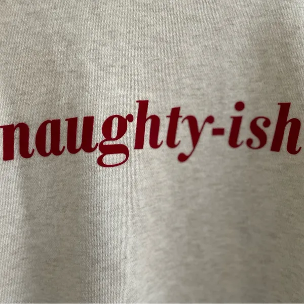 AERIE Naughty-ish Long Sleeve Pullover Crewneck Novelty Sweatshirt Size M - Image 8