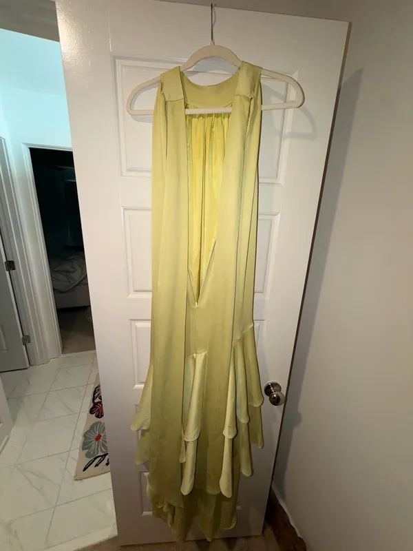 Elliatt Dress - Image 4