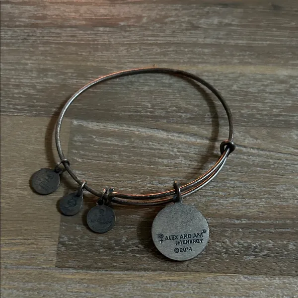 Alex and Ani Rustic Silver Charm Bracelet - Image 3