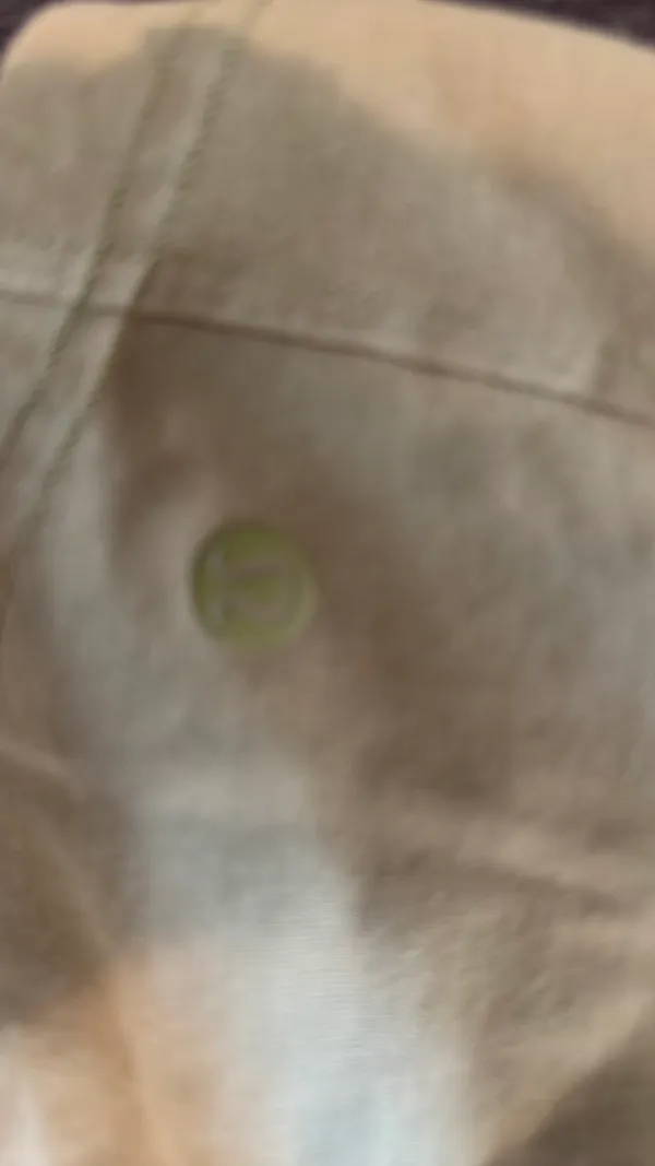 Lululemon Shorts - Image 3