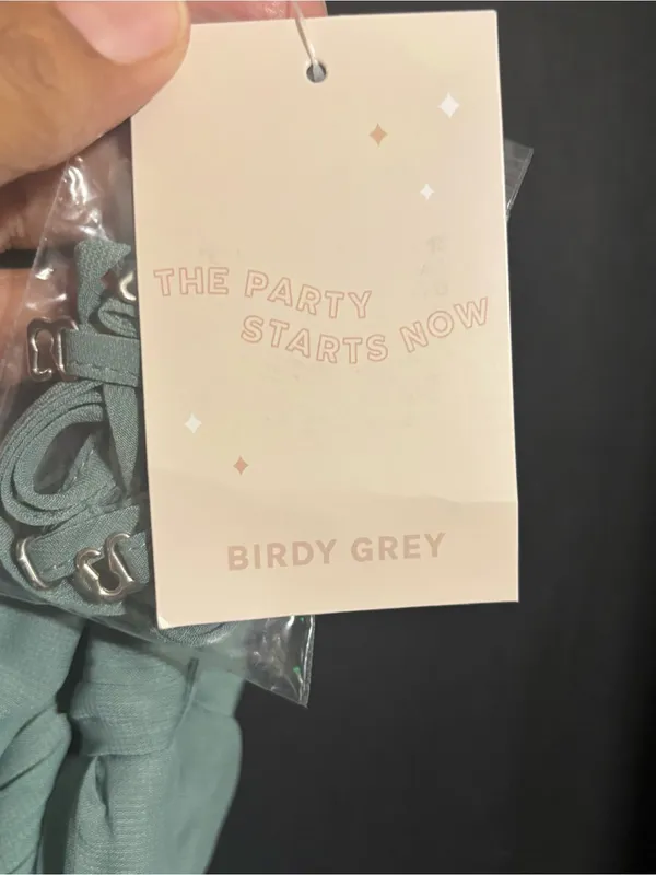 Birdy Grey Sleeveless Light Sage Chiffon Maxi Dress Elegant Women's Evening Gown - Image 5