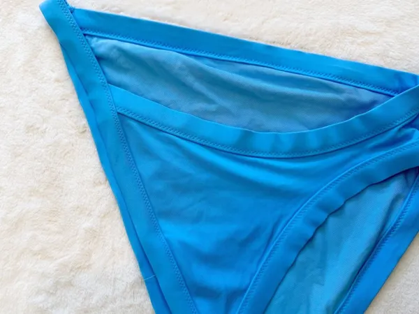 NWT Aerie Blue Bikini Bottoms - Size: Large - Image 3
