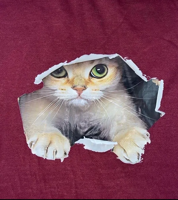 Cat sweater Red Size L - Image 3