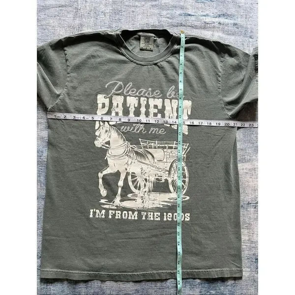Comfort Colors Faded Green From The 1900s Novelty Tee Large - Image 5
