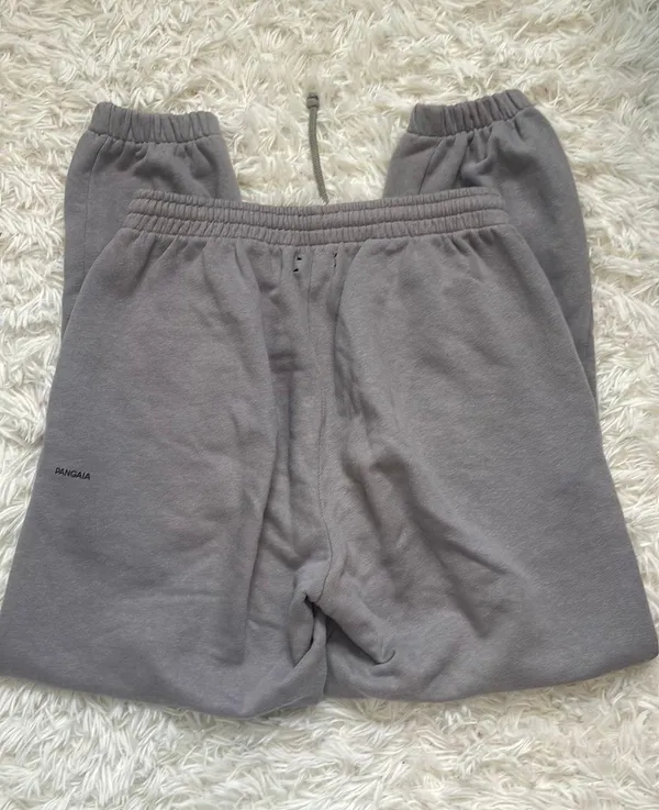 Pangaia Joggers Gray - Image 4