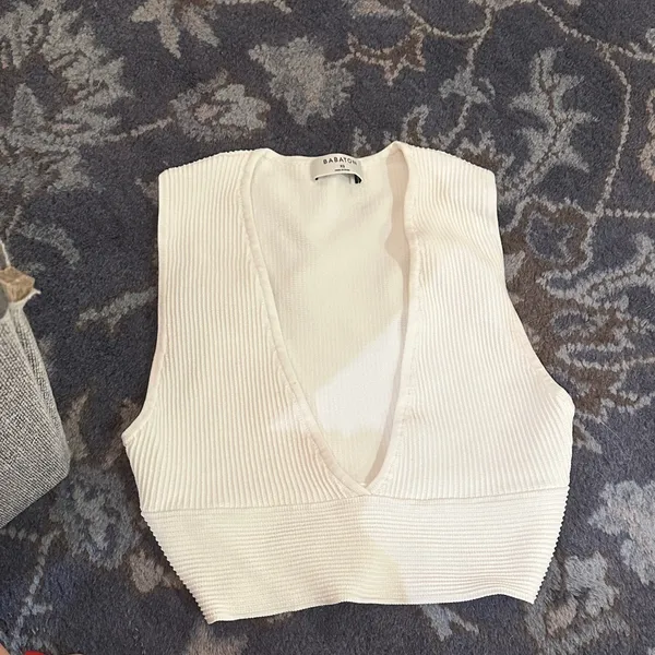 Aritzia Babaton top - Image 2