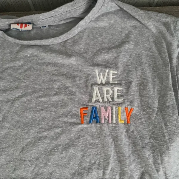 Junk Food We Are Family Embroidered Tee Gray Cotton M - Image 4