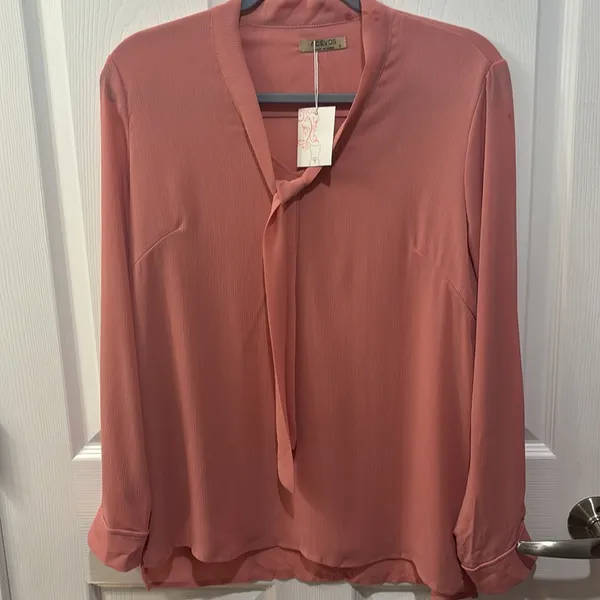 NWT ACEVOG chiffon blouse with tie collar size small Pink - Image 4