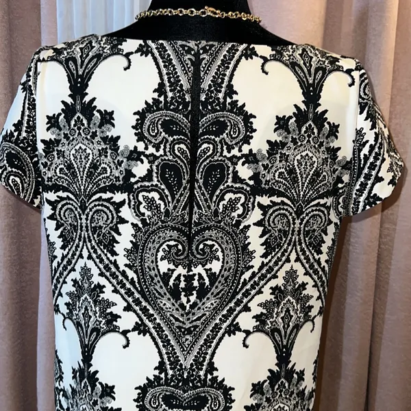 Zara Woman Size L Paisley Short Sleeved Dress - Image 6