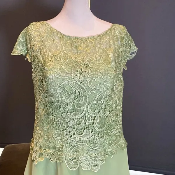 Women’s Green Chiffon & Lace Mid Length Dress with a Zip Up Back Size L NWOT - Image 2