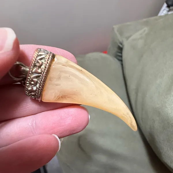 Vintage Fang Tooth Necklace Discoloration - Image 2