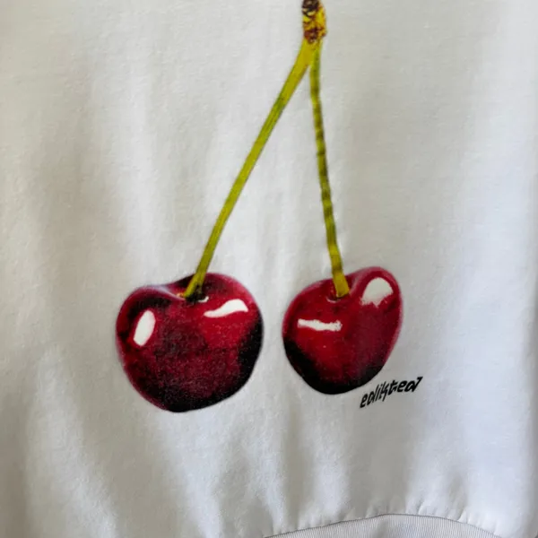 Edikted Cherry Hoodie Sweatshirt Size XS Casual Coquette Streetwear Mon Cheri - Image 2