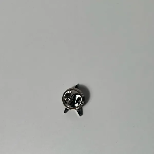 American Airlines AA APFA Flight Attendant Union Standard Lapel Pin - Image 4