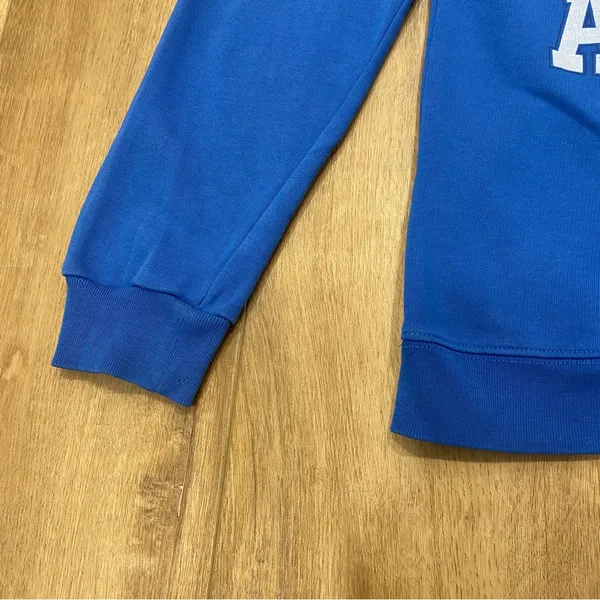 🌟Maje🌟 Vintage Look Air Force Academy Sweatshirt Blue Sz 2 Or M - Image 4