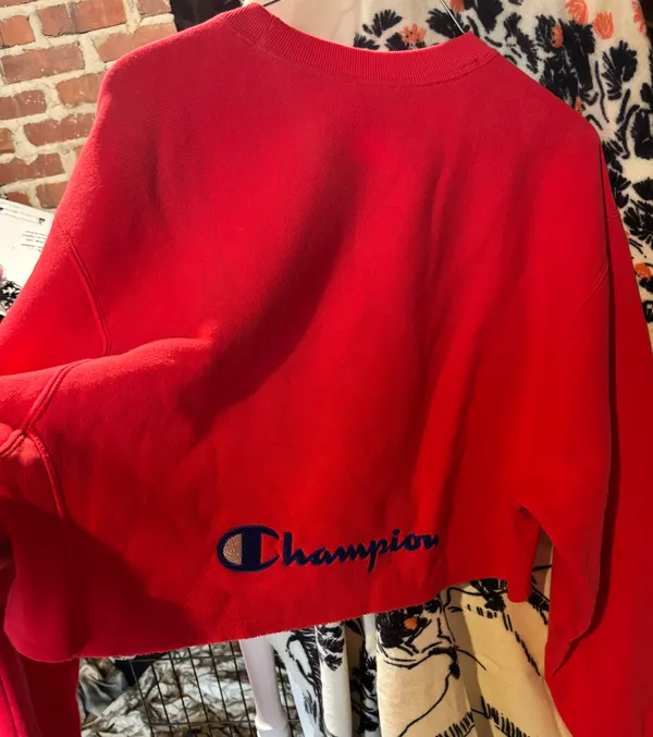 Champion Sweatshirt - Image 2