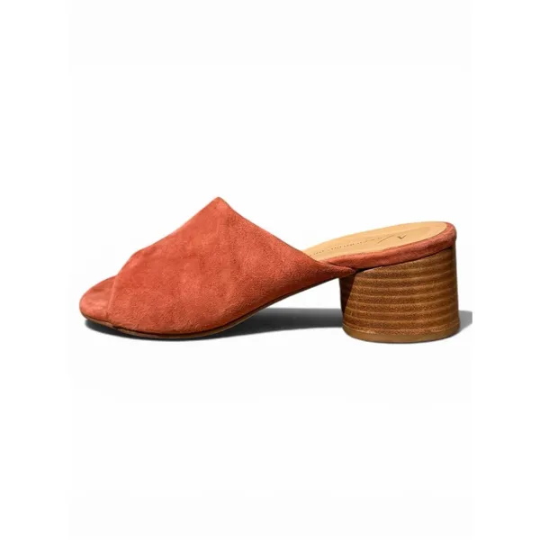 Anthropologie Rust Suede Block Heel Mule Sandals EU 37 US 6 Minimal Spain - Image 3