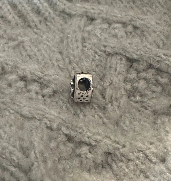 Pet Bracelet Charm 925 & CZ Silver - Image 3
