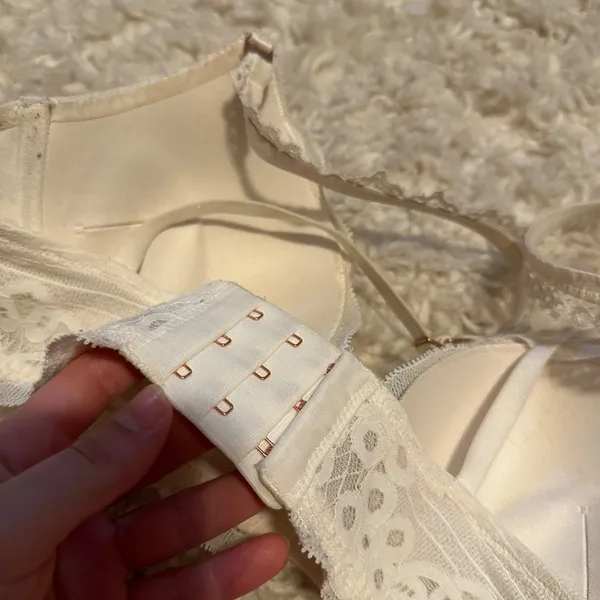 aerie Lace Pushup Bra - Image 4