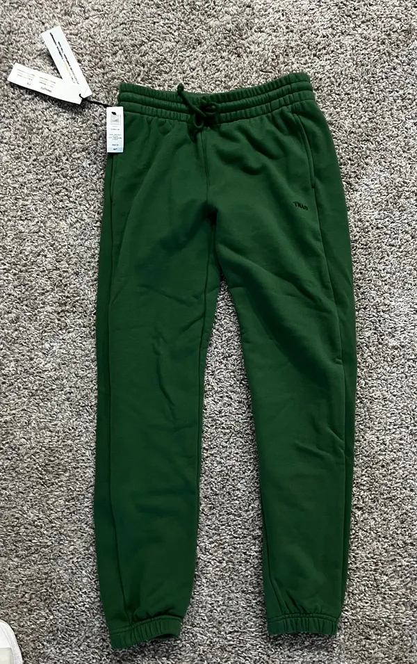Aritzia Tna Joggers - Image 6