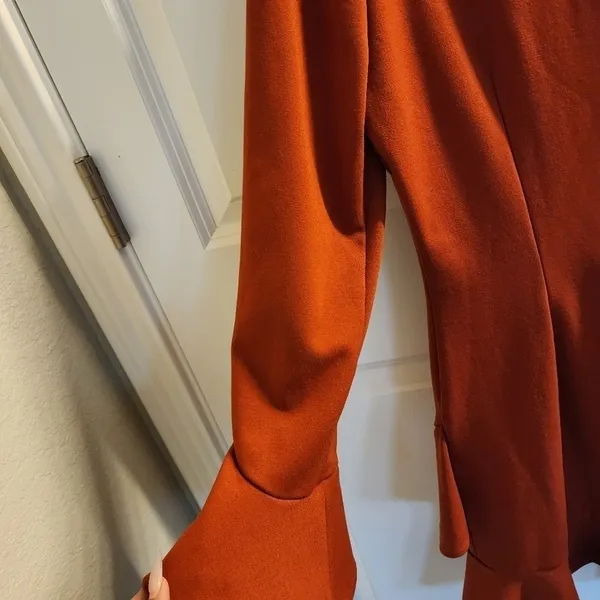 Gianni Bini The In Crowd Bell Sleeve Ruffle Sophie Mini Dress burnt orange 12 - Image 6