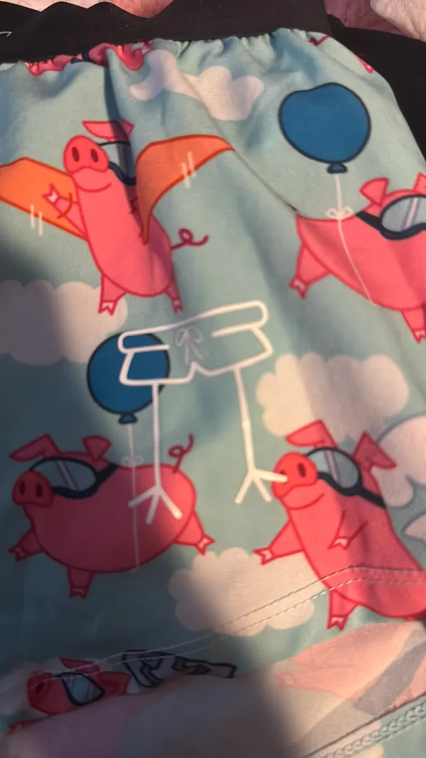 Chicken Leg Flying Pig Shorts Blue - Image 3