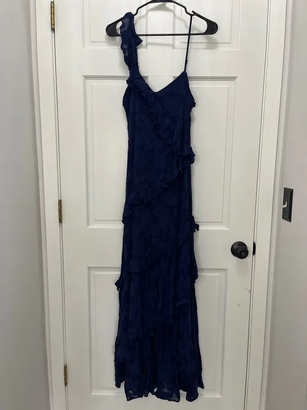 BHLDN Claudia Asymmetric Ruffle Chiffon Midi Dress - Size Medium - Image 3