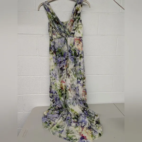 Luxe RTR Seraphine Felicity Maternity Maxi sz6 watercolor long printed sleeveless - Image 3