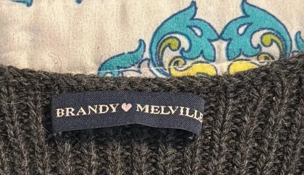 Brandy Melville elizabeth wool button vest - Image 3