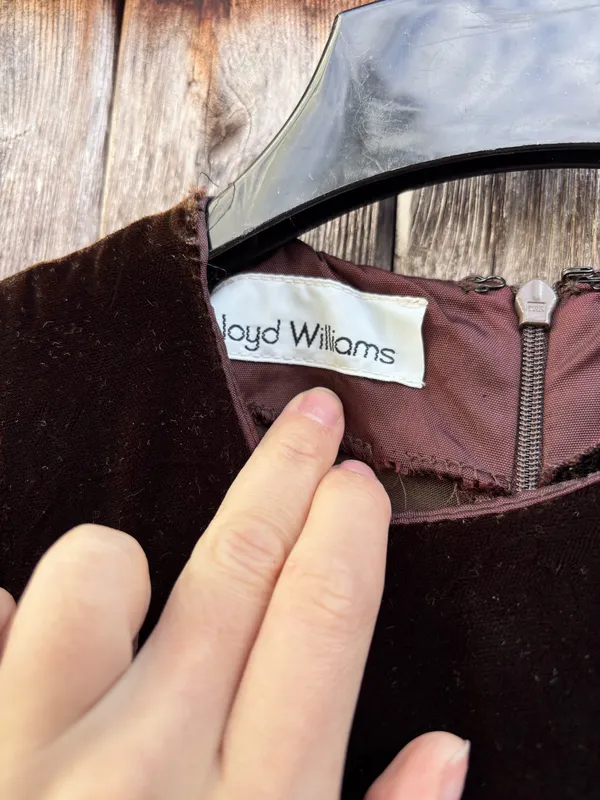 Vintage Brown Velvet Dress - Image 3