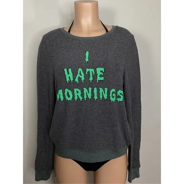 New. WILDFOX baggy beach jumper. Retails $99. X-Small - Image 3